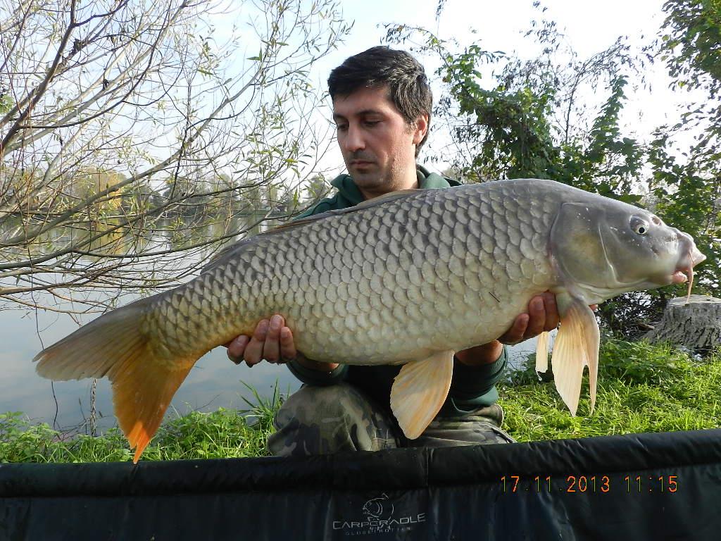 15 noiembrie 2013 - dscn1823.JPG